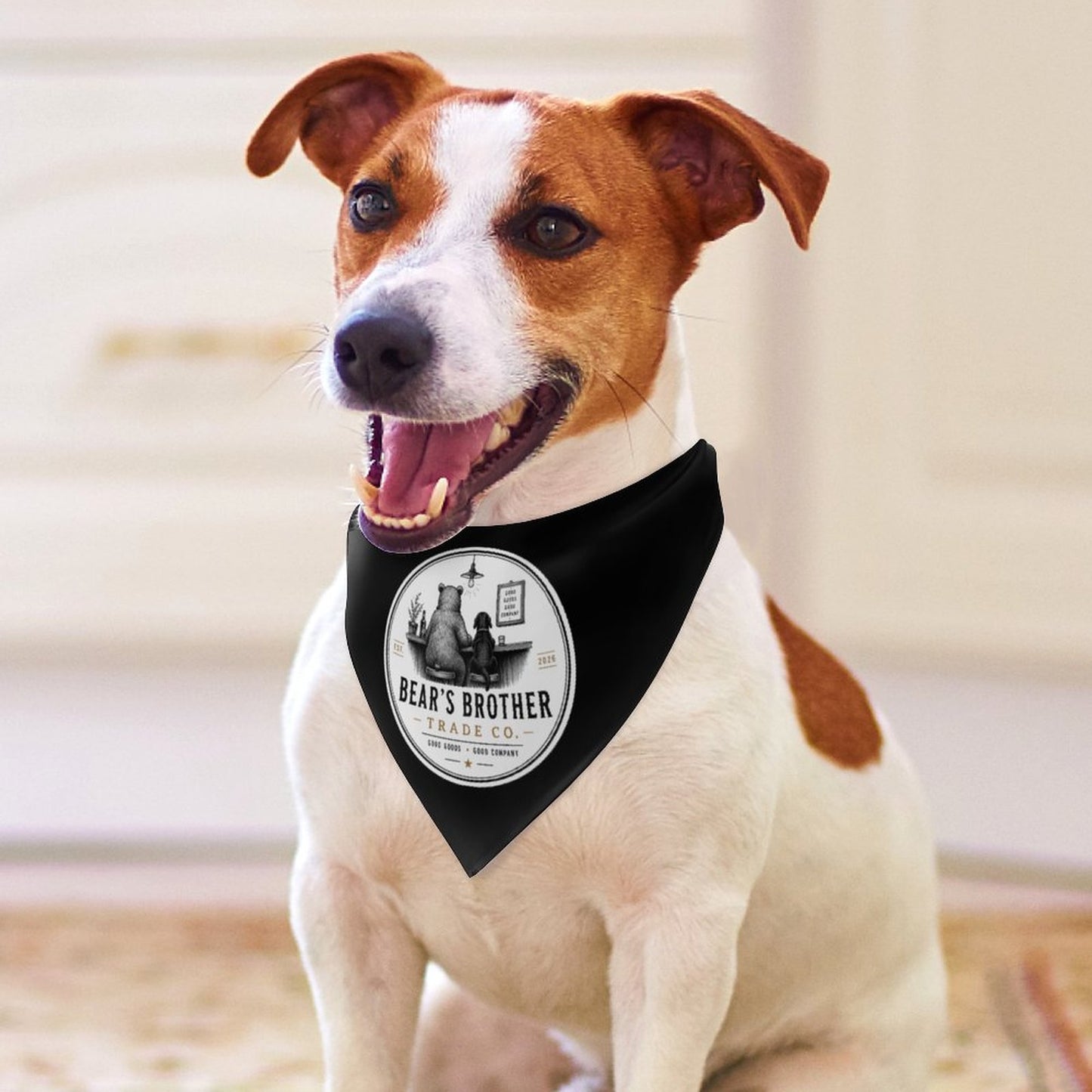 Dog Bandana, Black